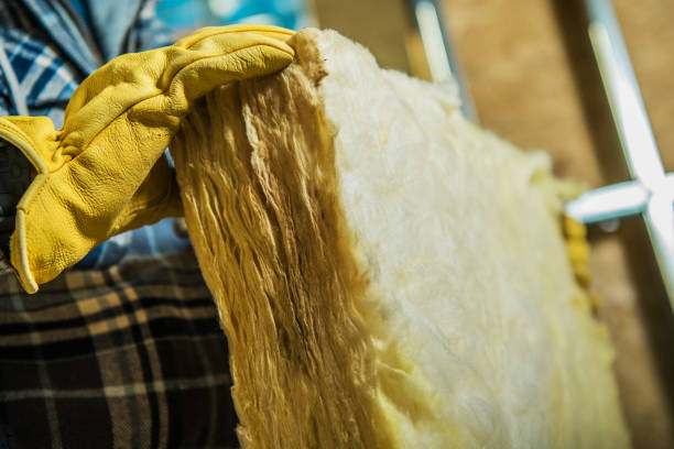 Trusted Folsom, PA Insulation Contractor Experts