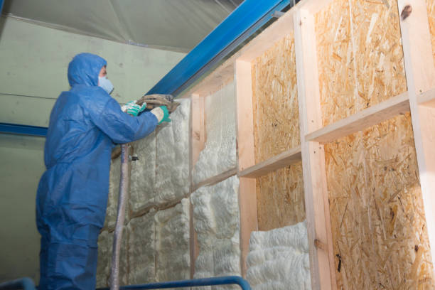 Best Home Insulation Services  in Folsom, PA